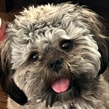 Entry image for Moki