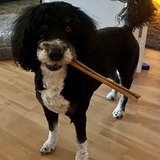 Entry image for Mr Bo