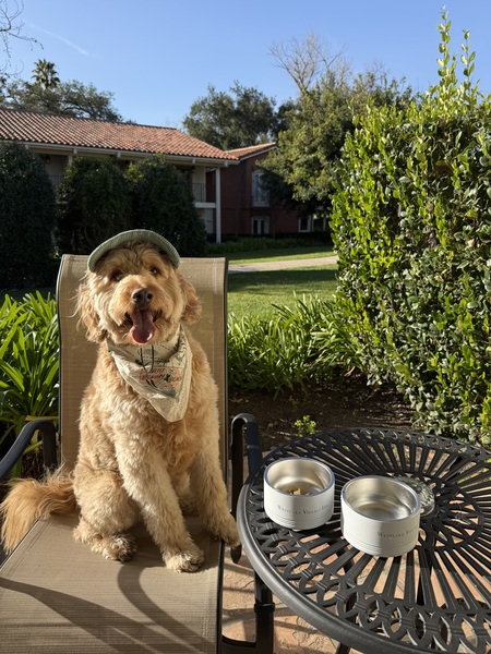 Entry image for Buckets. Clicking this image will show a larger photo