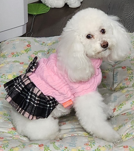 Entry image for Daisy Duke. Clicking this image will show a larger photo