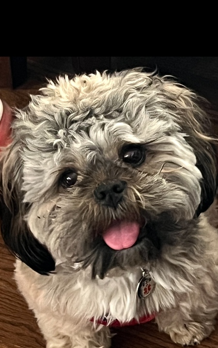 Entry image for Moki. Clicking this image will show a larger photo