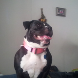 Entry image for Lola