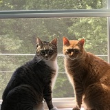 Entry image for Roman and Marty