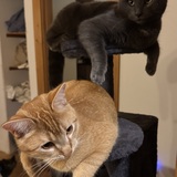Entry image for Oliver and Greyson