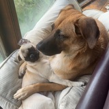 Entry image for Lou and Mabel