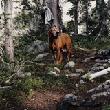 Entry image for Duke