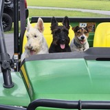 Entry image for Brodie Bear & Spot