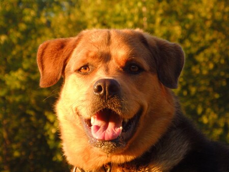 Entry image for Freeda. Clicking this image will show a larger photo