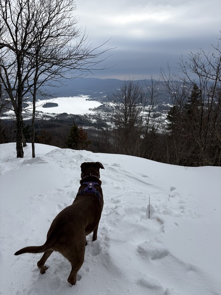 Entry image for Mae. Clicking this image will show a larger photo