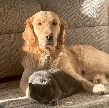 Entry image for Colt&Lily. Clicking this image will show a larger photo