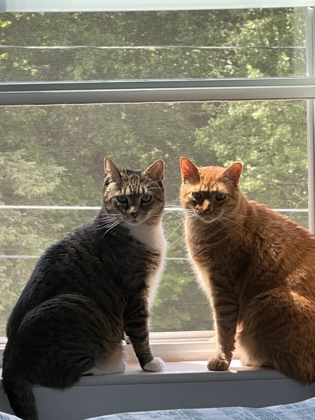 Entry image for Roman and Marty. Clicking this image will show a larger photo