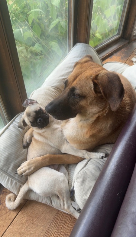 Entry image for Lou and Mabel. Clicking this image will show a larger photo