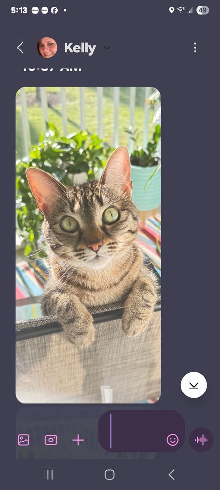 Entry image for Millie Mae. Clicking this image will show a larger photo