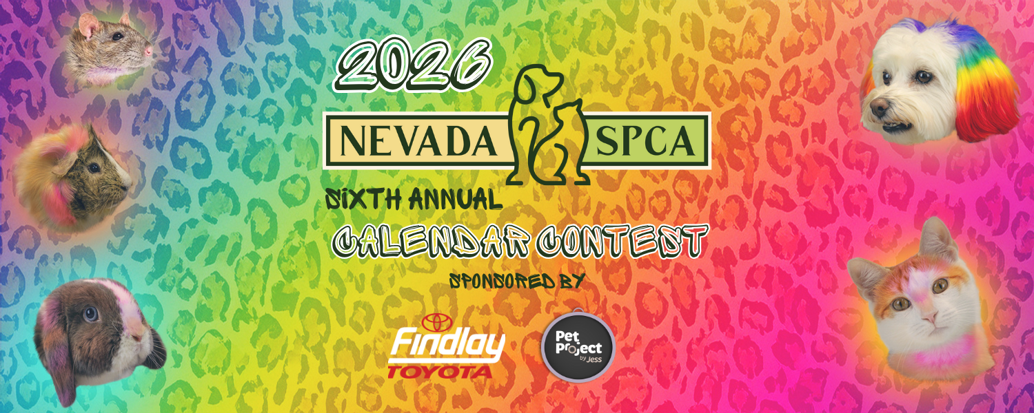 Banner for 2027 Nevada SPCA Calendar Contest