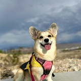 Entry image for Dulce 