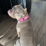 Entry image for Sasha