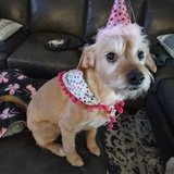 Entry image for Daisy 