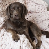 Entry image for Maggie
