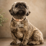 Entry image for Tashi 