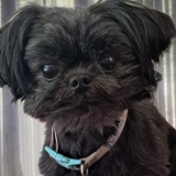 Entry image for Marley Bishop