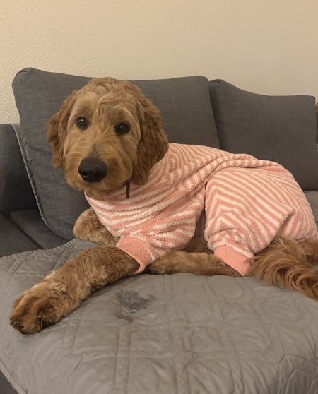 Entry image for Winnie. Clicking this image will show a larger photo