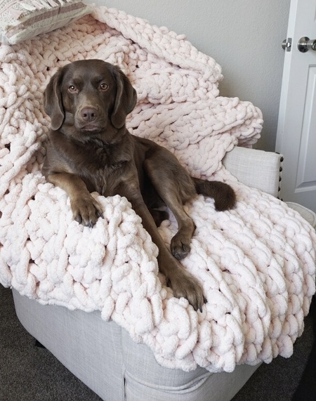 Entry image for Maggie. Clicking this image will show a larger photo