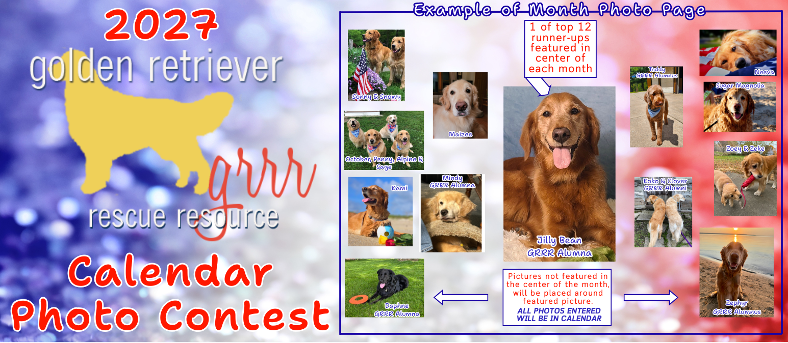 Banner for GRRR’s 2027 Calendar Photo Contest