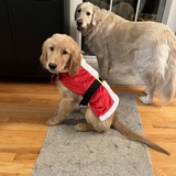 Entry image for Brad & Mollie