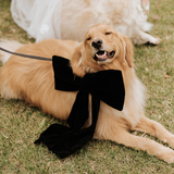 Entry image for Brad