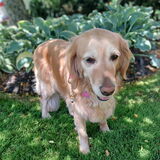Entry image for Maddie