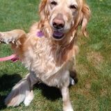 Entry image for Maddie