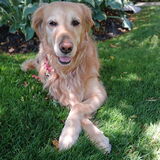 Entry image for Maddie