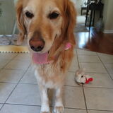 Entry image for Maddie