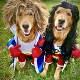 Entry image for Charly & Walter
