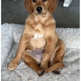 Entry image for Maggie 