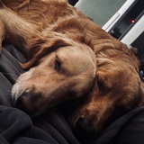 Entry image for Hank and Maggie
