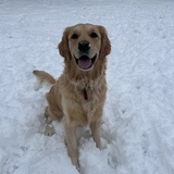 Entry image for Bailey