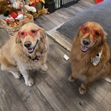Entry image for Luke and Quinn