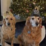 Entry image for Marlie and Gracie