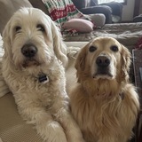 Entry image for Sebastian and lily