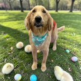 Entry image for Barkley
