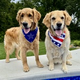 Entry image for Rula and Remy