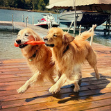 Entry image for Mason & Milo
