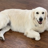 Entry image for Maggie 