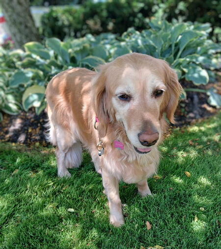 Entry image for Maddie. Clicking this image will show a larger photo