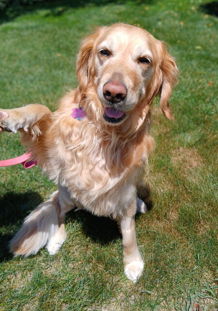 Entry image for Maddie. Clicking this image will show a larger photo
