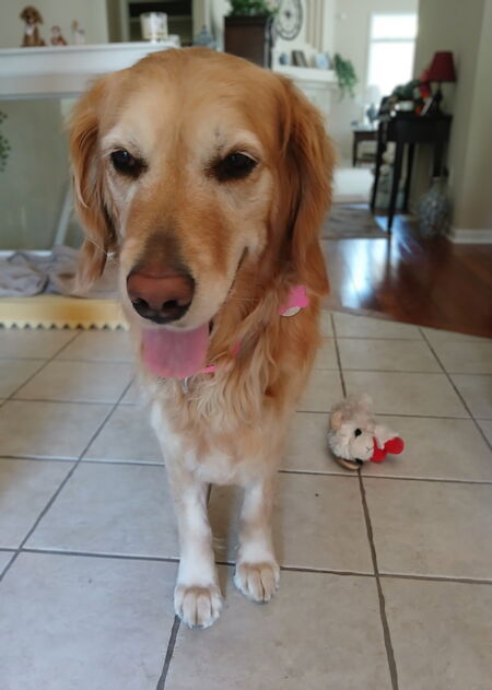 Entry image for Maddie. Clicking this image will show a larger photo