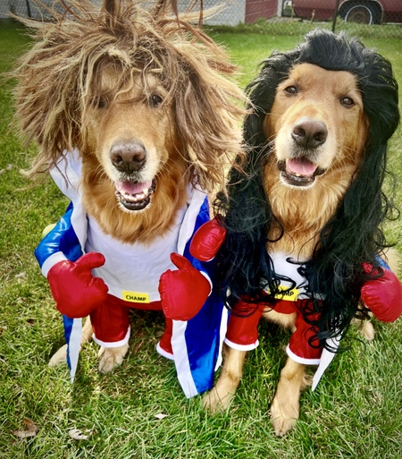 Entry image for Charly & Walter. Clicking this image will show a larger photo