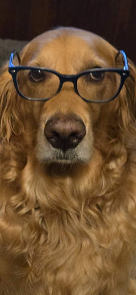 Entry image for Melvin . Clicking this image will show a larger photo