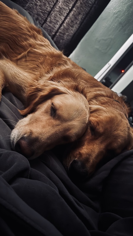 Entry image for Hank and Maggie. Clicking this image will show a larger photo